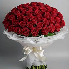 Букет 101 Красная роза Блэк Мэджик в Славянске-на-Кубани