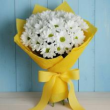 Букет цветов из:  Хризантемы в Славянске-на-Кубани