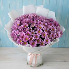Букет цветов из:  Хризантемы в Славянске-на-Кубани