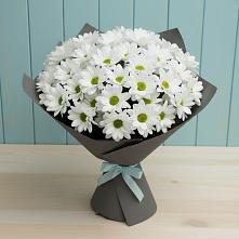 Букет цветов из:  Хризантемы #REPLACE_PRED# Славянске-на-Кубани