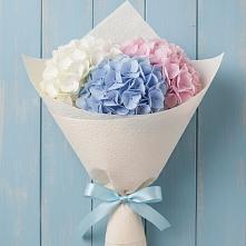 Букет цветов из:  Гортензия в Славянске-на-Кубани