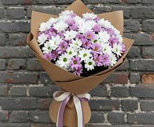 Букет цветов из:  Хризантемы в Славянске-на-Кубани