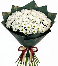 Букет цветов из:  Хризантемы в Славянске-на-Кубани