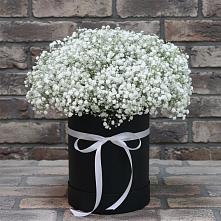 Цветочная композиция из Гипсофила в шляпной коробке в Славянске-на-Кубани