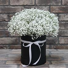 Цветочная композиция из Гипсофила в шляпной коробке в Славянске-на-Кубани