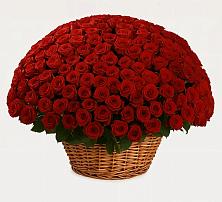 Премиум букет из: Розы в Славянске-на-Кубани