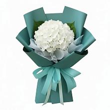 Букет цветов из:  Гортензия в Славянске-на-Кубани